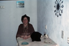 za_boed_bazar_017