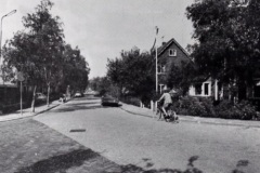 za_straten_bomenbuurt_01