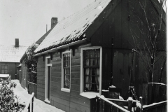 horst_113