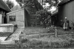 horst_131