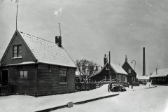 horst_184