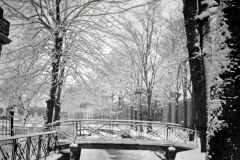 horst_431