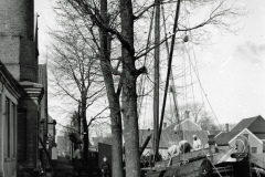 horst_141