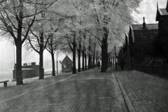 horst_466