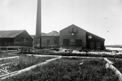 Stoomhoutzagerij De Zaan aan de Watering in Zaandam Anno 1876. Gesloopt in 1906. Later herbouwd onder de naam Blees Houtwol