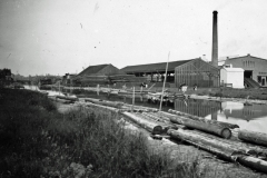 Blees houtwolfabriek 1906-1970