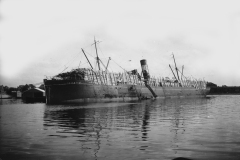 horst_229