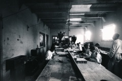 honig_historie_375