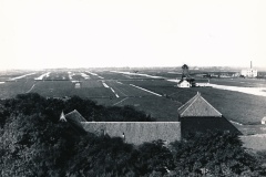 honig_historie_395