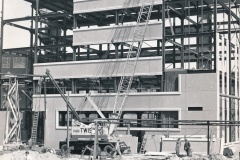 ko_honig_1962_170