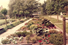 1979-plantvakken-aan-het-lange-pad-