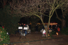 droomwinternacht-002