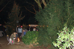 droomwinternacht-003