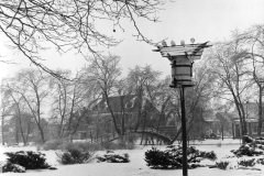 duiventil