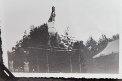 in-het-Koogerpark