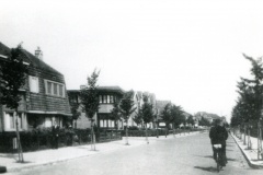 Leliestraat