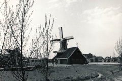 1964_baas_041