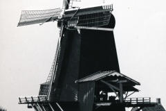 1974_baas_002